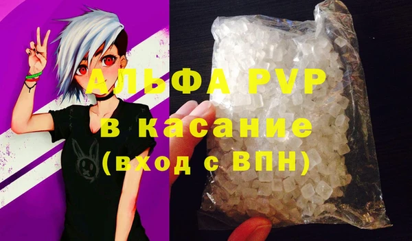 твердый Козельск